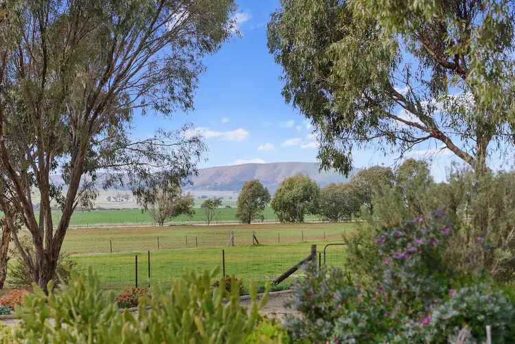 Fifth view of Homely house listing, 213 Petherton Road, Mount Bryan SA 5418