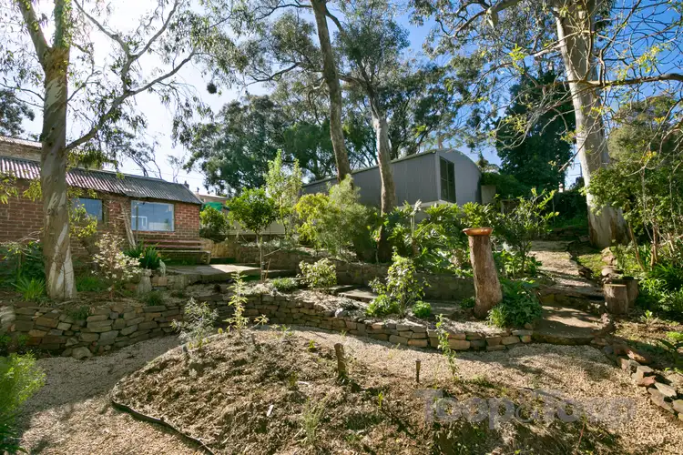 Fifth view of Homely house listing, 16 Louis Avenue, Hawthorndene SA 5051