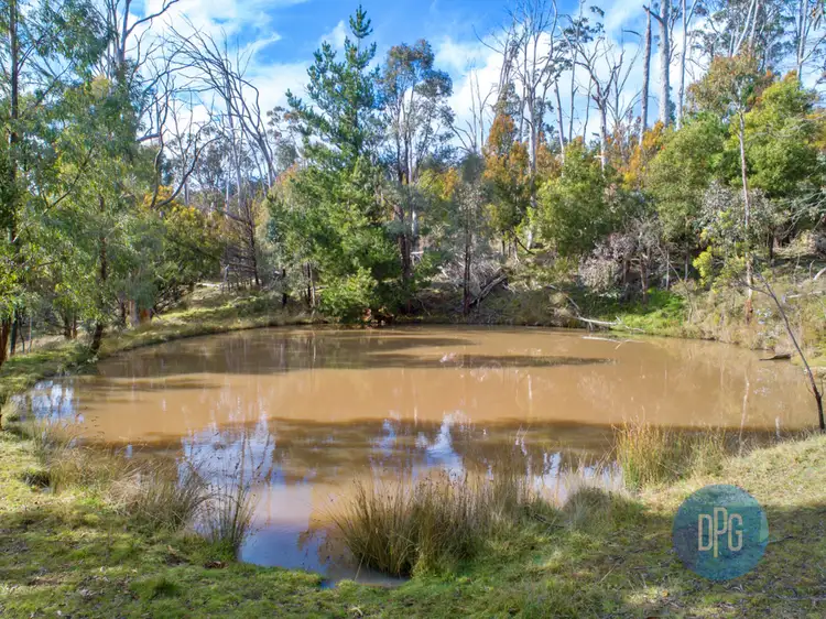 Fourth view of Homely rural property listing, 65 Bunstons Road, Tolmie VIC 3723