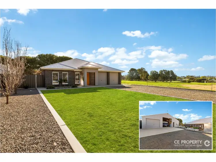 25 Randall Street, Mannum SA 5238