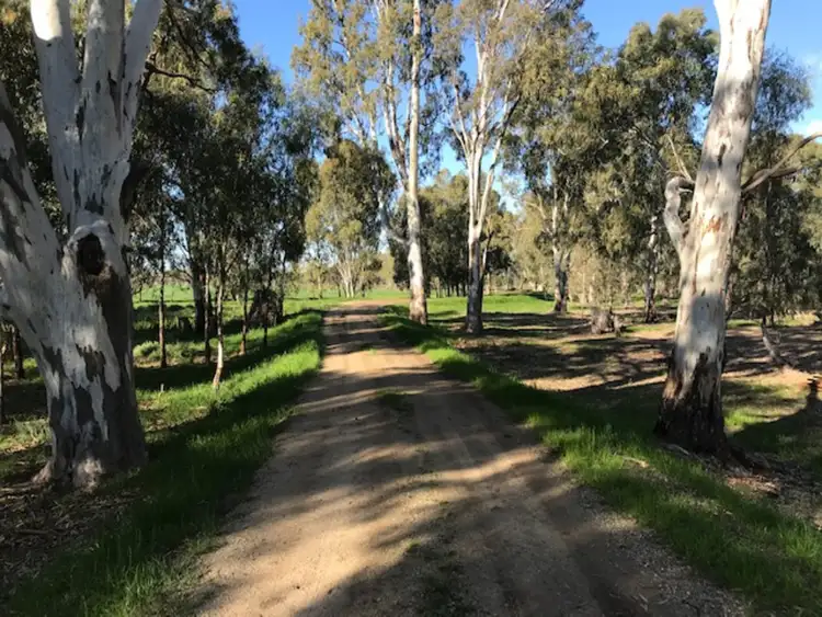 Seventh view of Homely rural property listing, 317 Lilford Lane, Barham NSW 2732