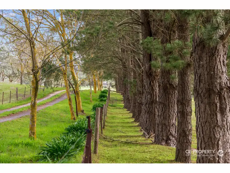 Third view of Homely house listing, 57 Green Road, Mount Pleasant SA 5235