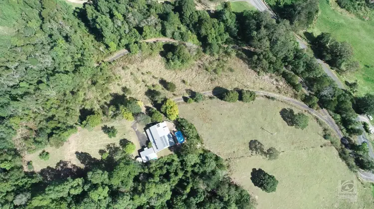 Third view of Homely rural property listing, 1345 Tyalgum Road, Eungella NSW 2484
