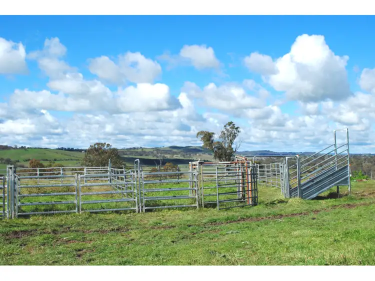 Fourth view of Homely rural property listing, 'Longview' 4925 Mitchell Highway, Orange NSW 2800