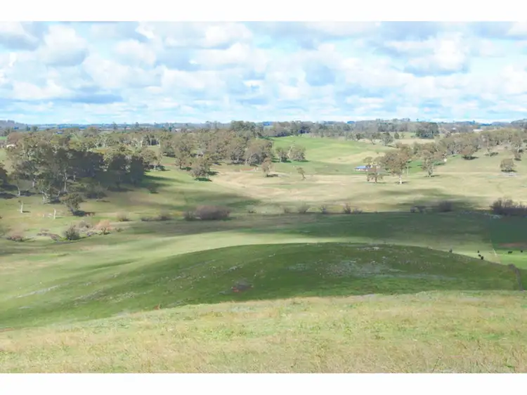 Fifth view of Homely rural property listing, 'Longview' 4925 Mitchell Highway, Orange NSW 2800