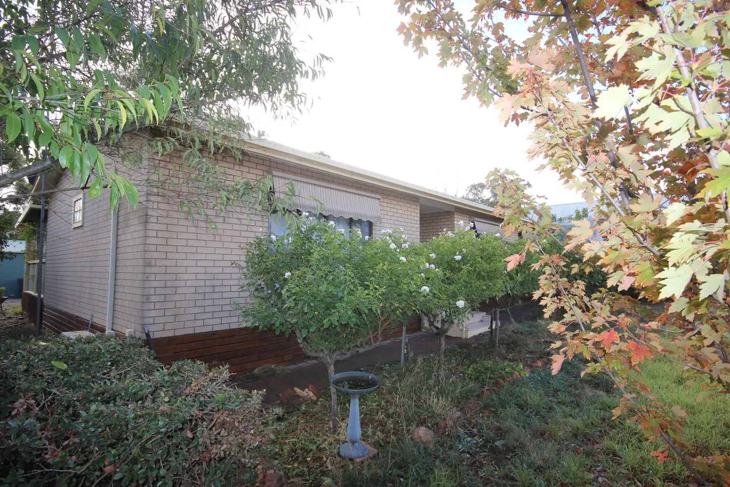 Main view of Homely house listing, 6 Napier Street, Farrell Flat SA 5416