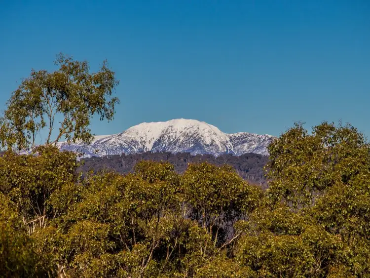Second view of Homely rural property listing, 24 Bushland Close, Barwite VIC 3722