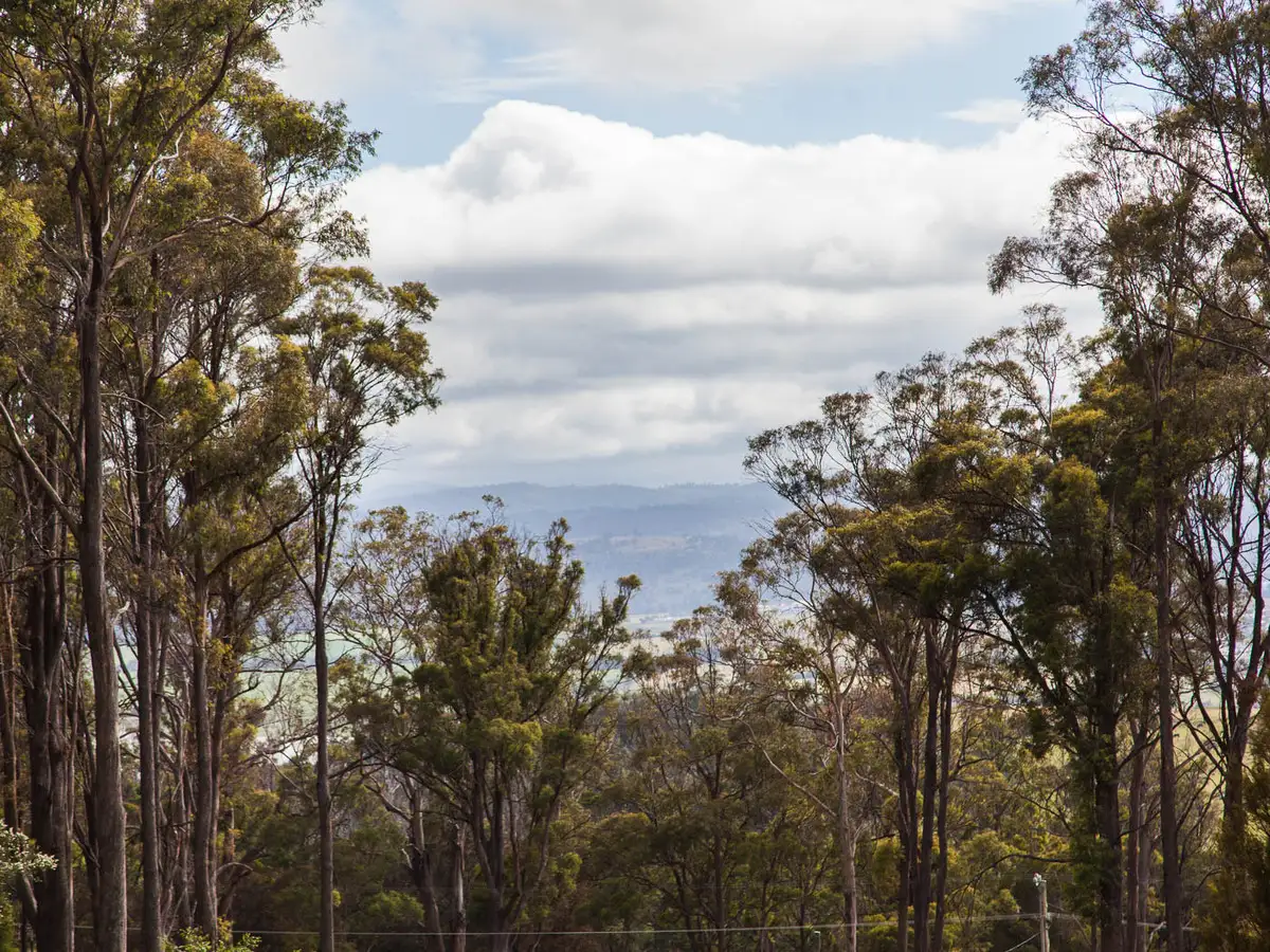 Main view of Homely land listing, 77C New Ecclestone Road, Riverside TAS 7250