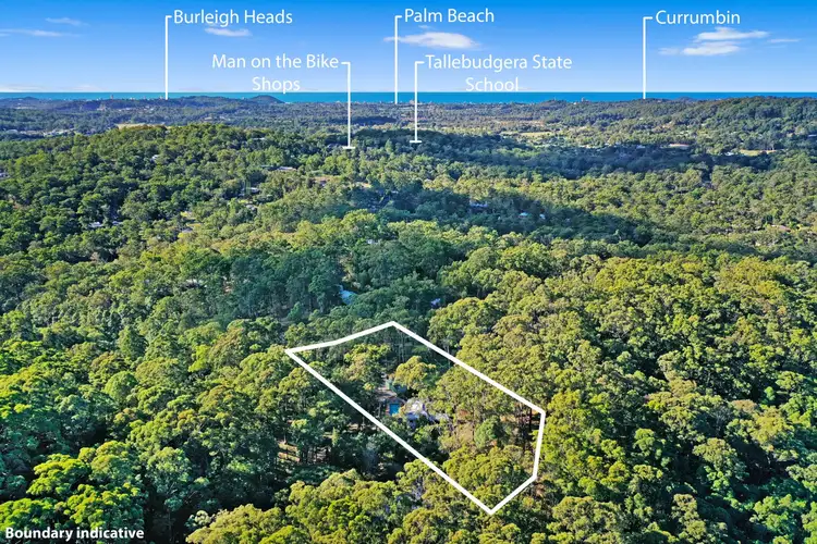 Main view of Homely house listing, 14 Carapook Crescent, Tallebudgera QLD 4228