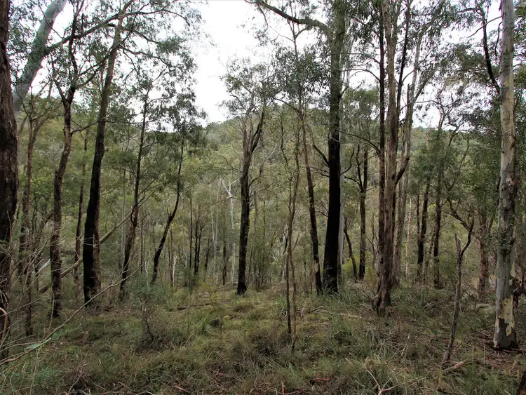 Second view of Homely land listing, 20 Christensen Street, Sawmill Settlement VIC 3723