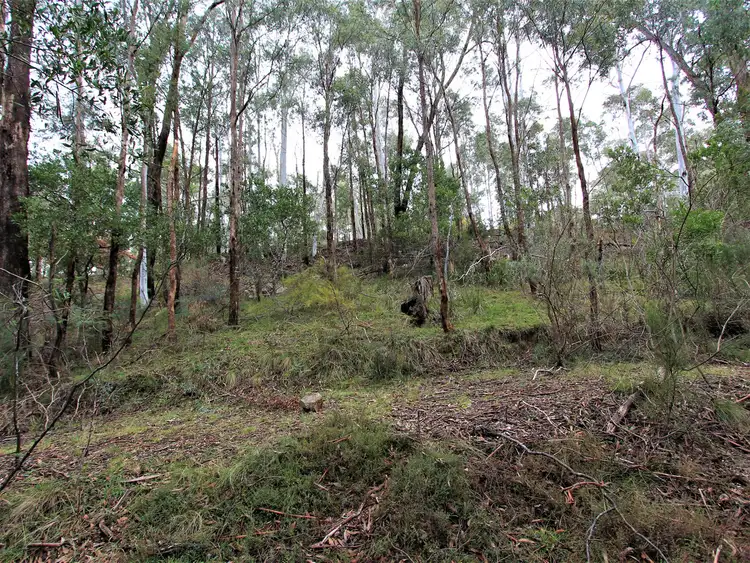 Third view of Homely land listing, 20 Christensen Street, Sawmill Settlement VIC 3723