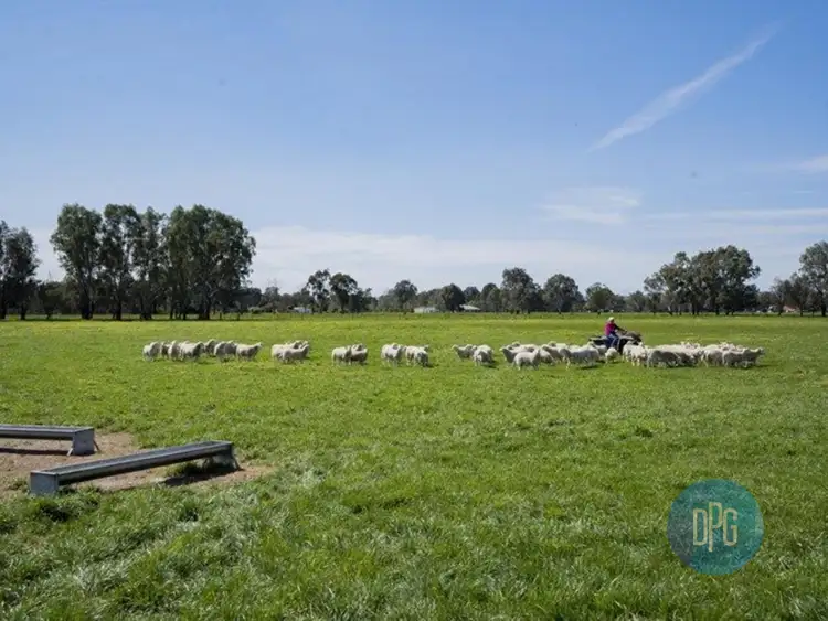 Third view of Homely rural property listing, 61 Forest Lane, Markwood VIC 3678