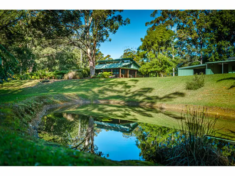 Fifth view of Homely rural property listing, 460 Kalang Road, Bellingen NSW 2454