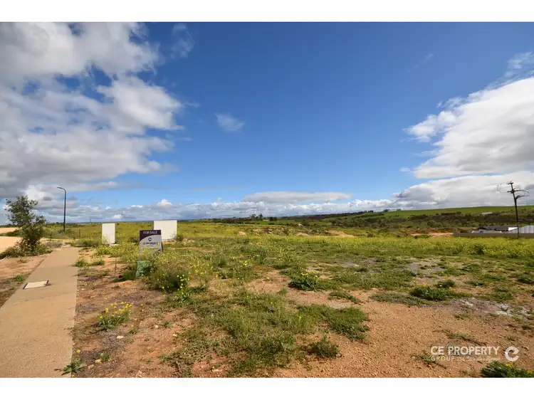 Second view of Homely land listing, Lot 850 Honeyeater Drive, Mannum SA 5238