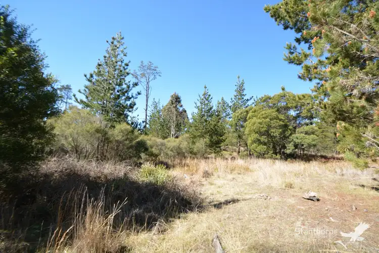 Seventh view of Homely rural property listing, LOT 202 Ironbark Road, Sugarloaf QLD 4380
