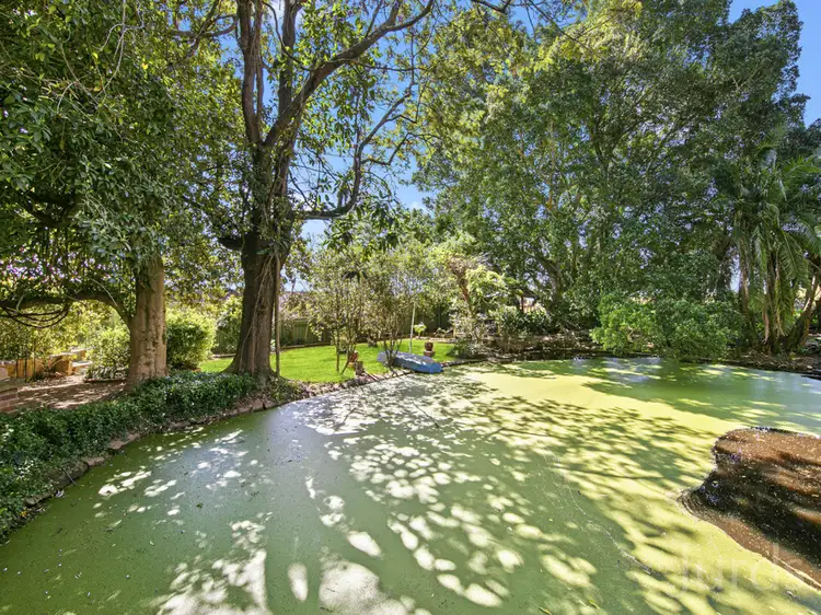 Sixth view of Homely rural property listing, 245 Station Lane, Lochinvar NSW 2321