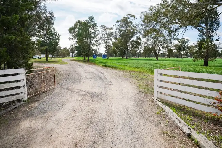 Fourth view of Homely rural property listing, 74 Racecourse Road, Berrigan NSW 2712