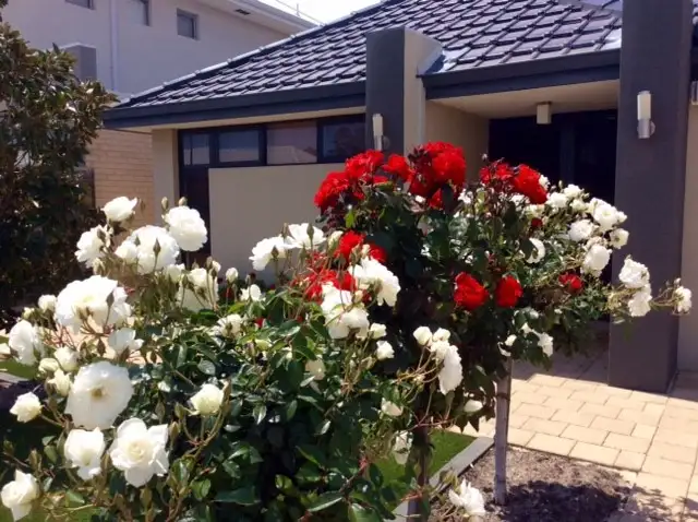Main view of Homely house listing, 9 Trinity Close, Canning Vale WA 6155