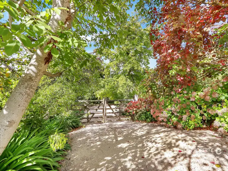 Fourth view of Homely rural property listing, 44 Cherryville Road, Cherryville SA 5134