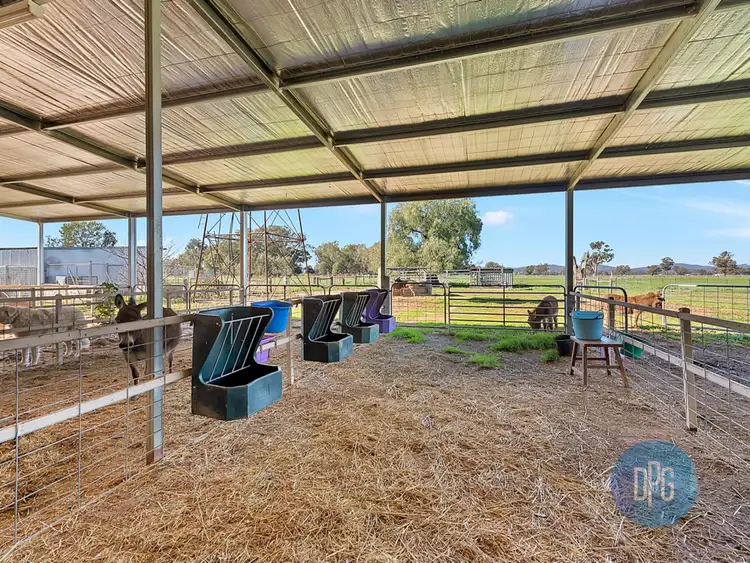 Sixth view of Homely rural property listing, 61 Forest Lane, Markwood VIC 3678
