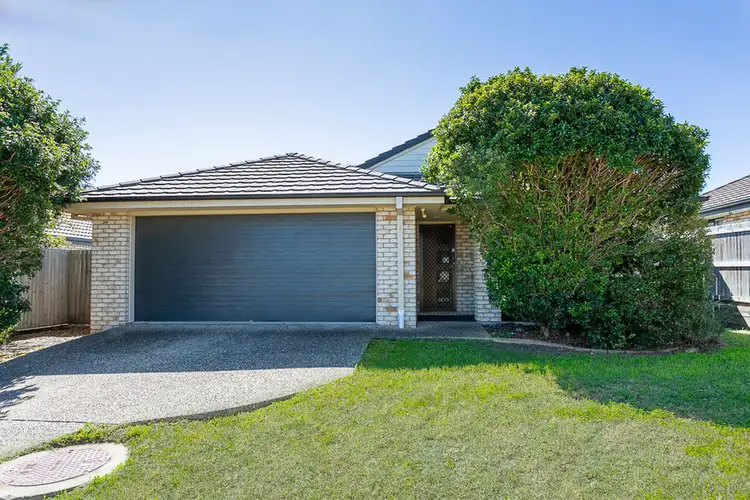 53 Dornoch Cr, Raceview QLD 4305