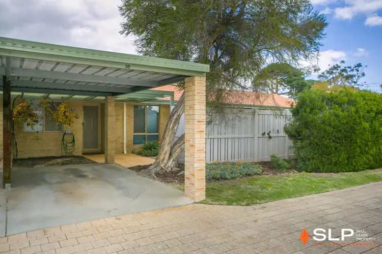 Main view of Homely villa listing, 36/35 Winnacott Street, Willagee WA 6156