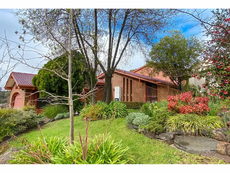 12 Michelle Avenue, Lavington NSW 2641