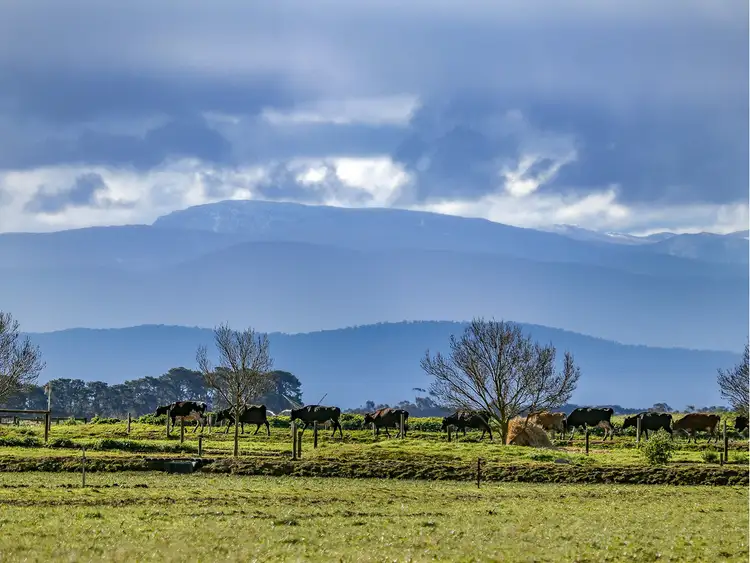 Third view of Homely rural property listing, 204 Soldiers Road, Nambrok VIC 3847