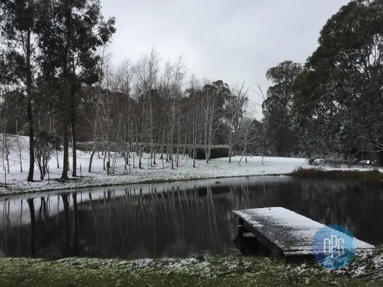 Sixth view of Homely rural property listing, 62 Bromfield Drive, Tolmie VIC 3723