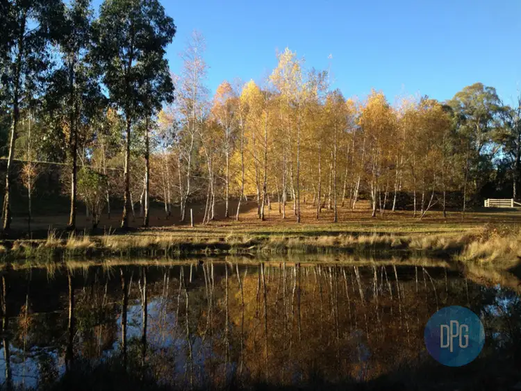 Seventh view of Homely rural property listing, 62 Bromfield Drive, Tolmie VIC 3723