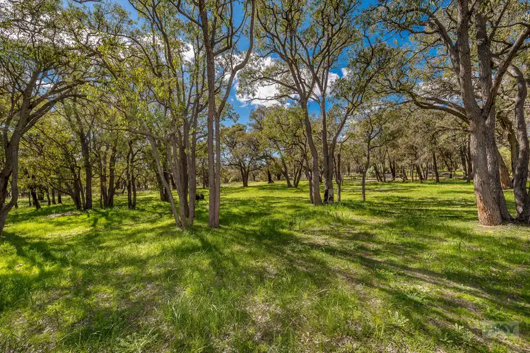 55 Jarrahwood Glen, Bullsbrook WA 6084