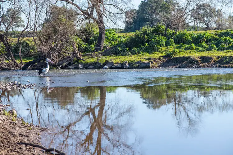 Fifth view of Homely rural property listing, 1828 Denman Road, Denman NSW 2328