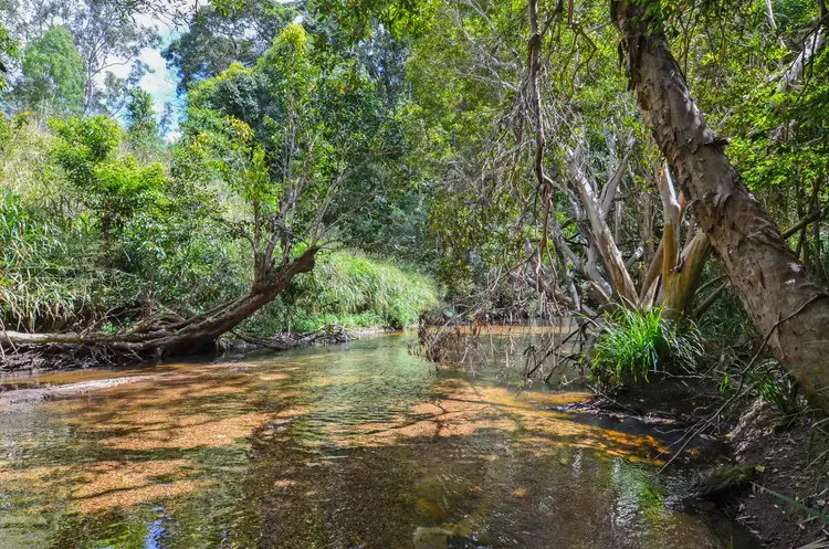 Fourth view of Homely rural property listing, 525 Koah Road, Koah QLD 4881