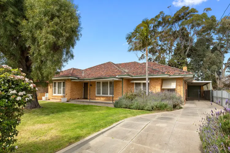 Main view of Homely house listing, 19 College Road, Somerton Park SA 5044