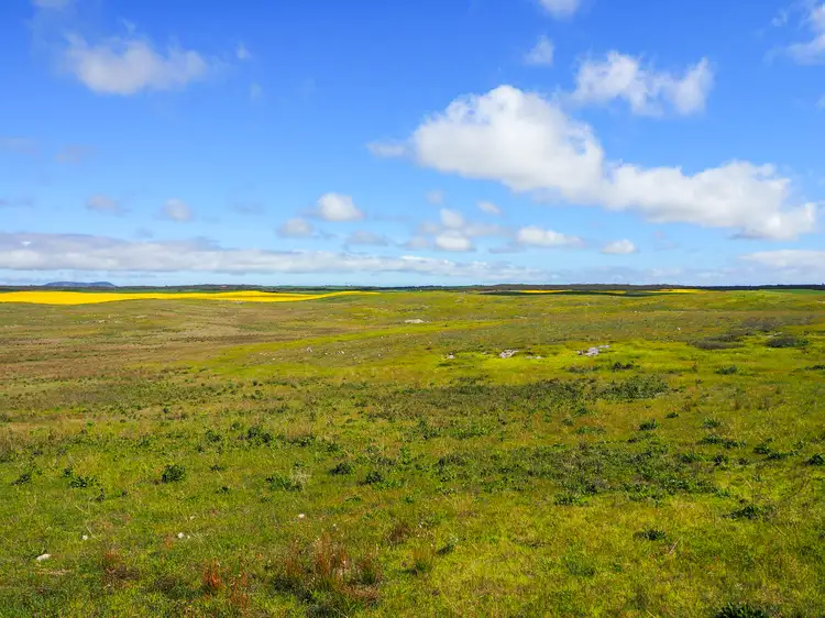 Second view of Homely rural property listing, 5897 Flinders Highway, Coulta SA 5607