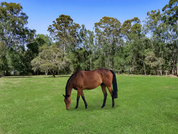 Second view of Homely rural property listing, 1589 Mount Cotton Road, Mount Cotton QLD 4165