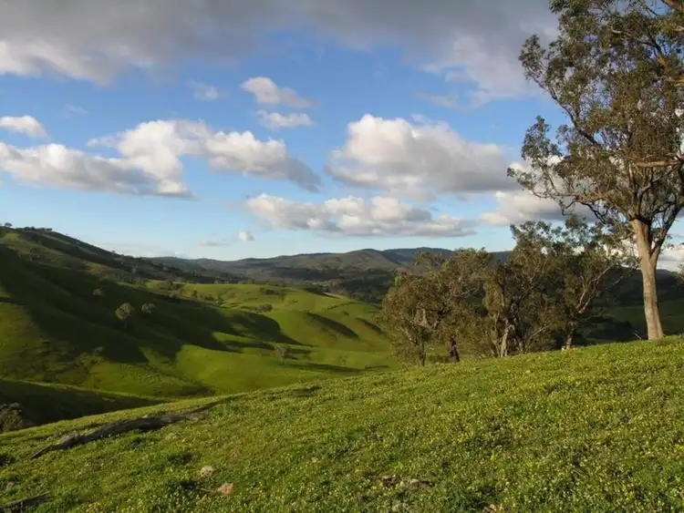 Sixth view of Homely house listing, 547 Dry Creek Road, Bonnie Doon VIC 3720