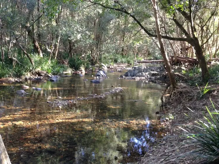 Sixth view of Homely rural property listing, 54 Pappinbarra Road Right Arm, Upper Pappinbarra NSW 2446