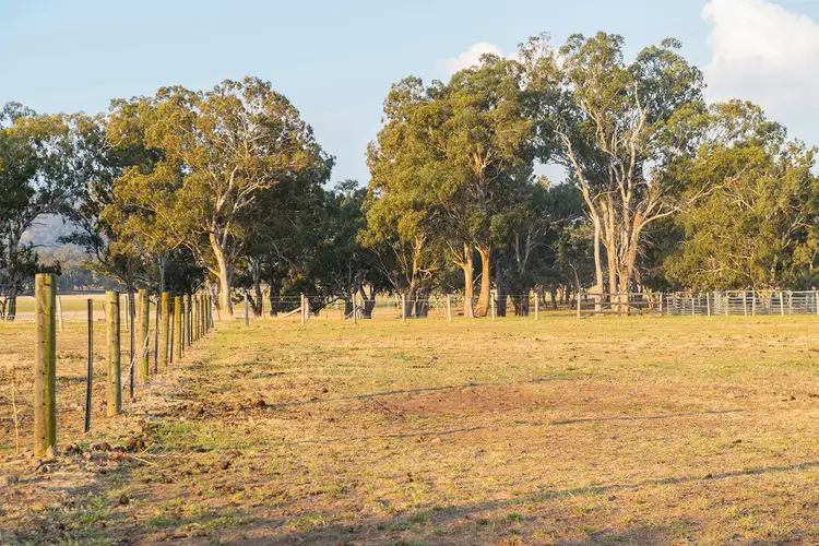 Seventh view of Homely rural property listing, 18 Haydons Lane, Blandford NSW 2338