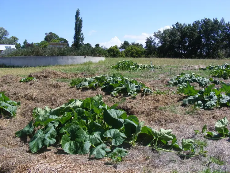 Seventh view of Homely land listing, 16 Millowine Lane, Bega NSW 2550