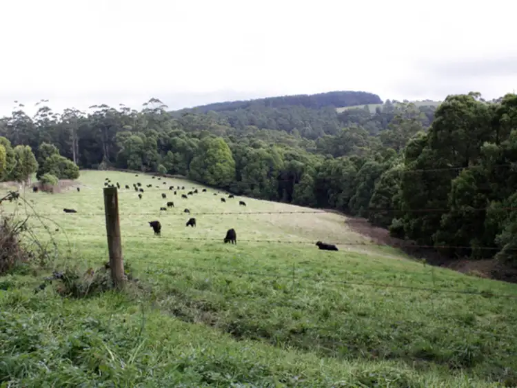 Second view of Homely rural property listing, 630 Dehnerts Track, Beech Forest VIC 3237