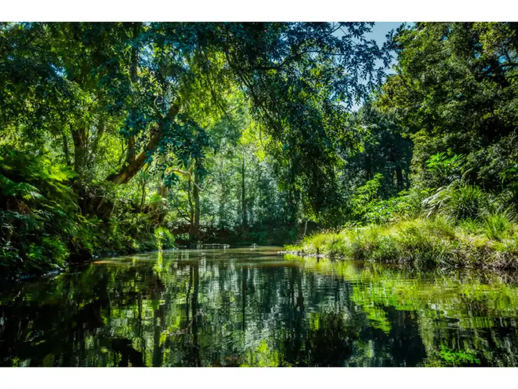Fifth view of Homely rural property listing, 413 Johnsens Road, Dorrigo NSW 2453