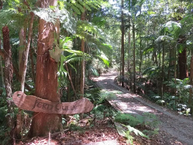 Main view of Homely rural property listing, 1283 Byrrill Creek Road, Brays Creek NSW 2484