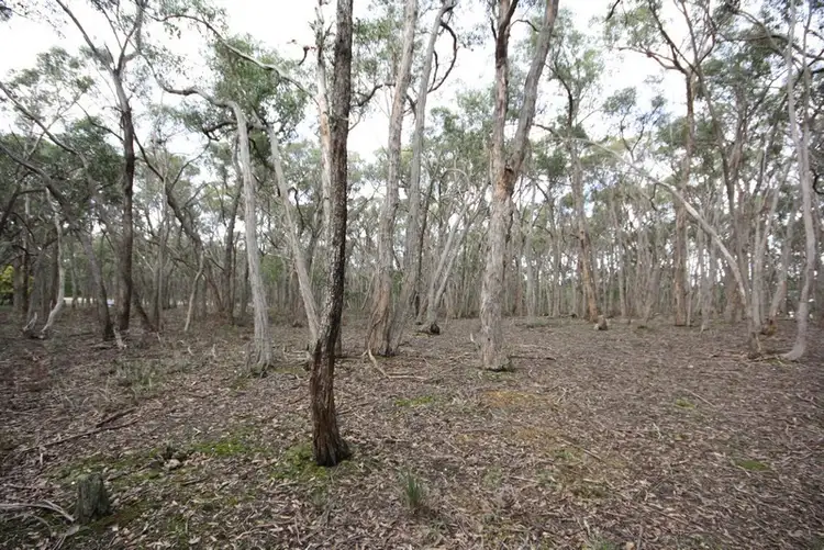 Third view of Homely land listing, C/A 14 Bells Road, Haddon VIC 3351