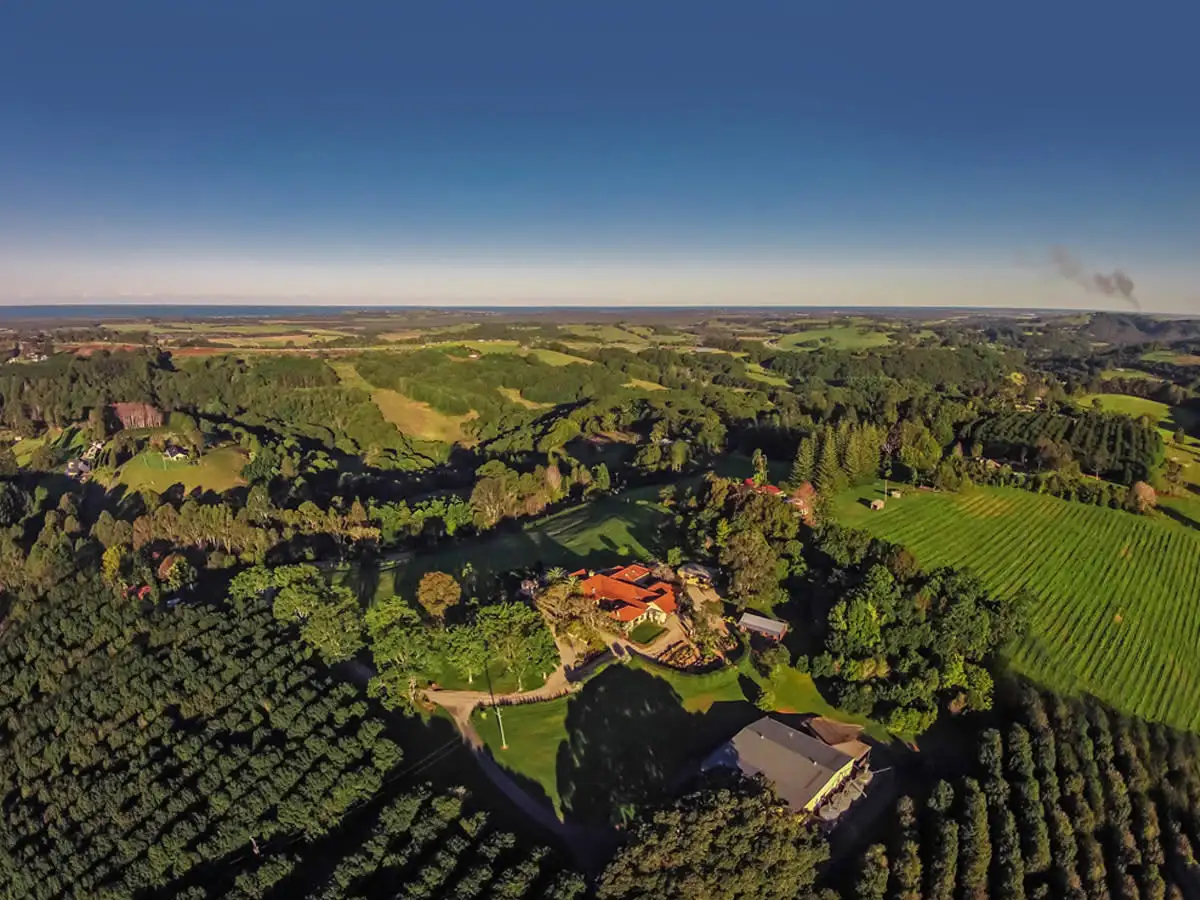 Main view of Homely house listing, 277 Friday Hut Road, Tintenbar NSW 2478