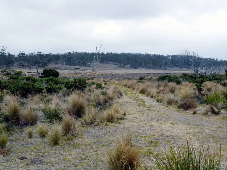 Sixth view of Homely rural property listing, Tasman Highway, Little Swanport TAS 7190