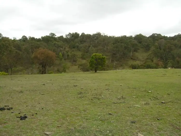Seventh view of Homely house listing, 975 Old Tolmie Road, Mansfield VIC 3722