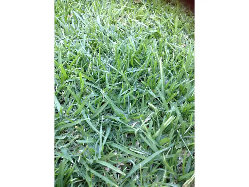 Main view of Homely land listing, LOT 674 Asteria Crescent, Cranbourne West VIC 3977