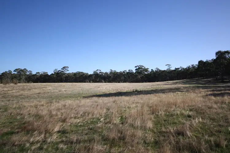 Fourth view of Homely land listing, LOT 1 Peters Hill Track, Lillicur VIC 3371