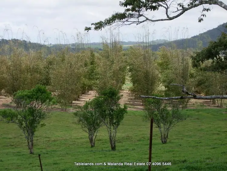 Third view of Homely rural property listing, F307/1015 Maalan Road, Millaa Millaa QLD 4886